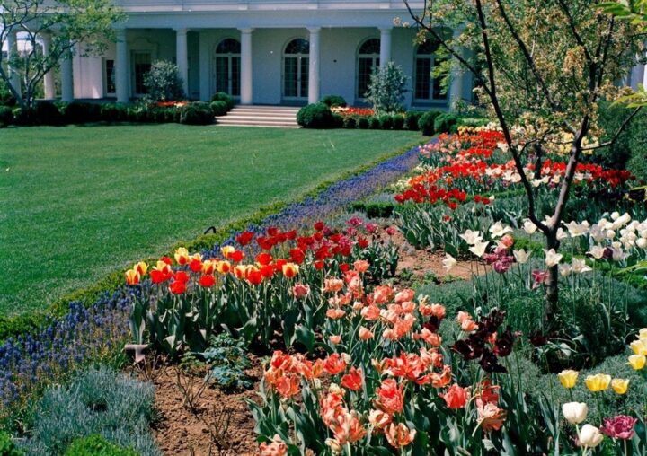 The Kennedy Rose Garden Open House White House Historical Association