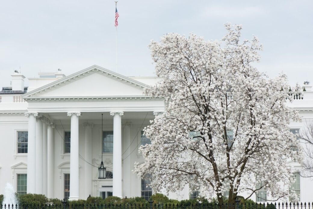 Cherry Blossoms in front of the White House, 2015. White House