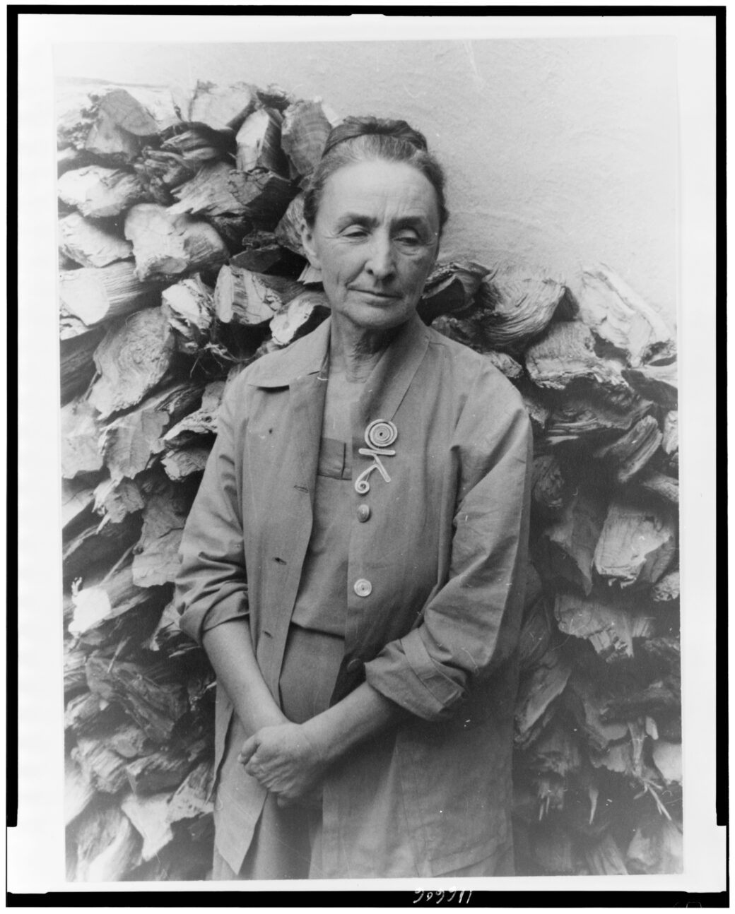 Diversity In White House Art Georgia O Keeffe White House Historical
