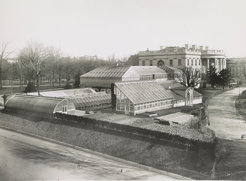 The White House greenhouse complex in their heydey in the late
