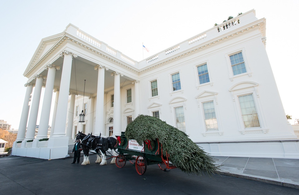 The 2013 Holiday Season Carriage Brings Tree to White House White