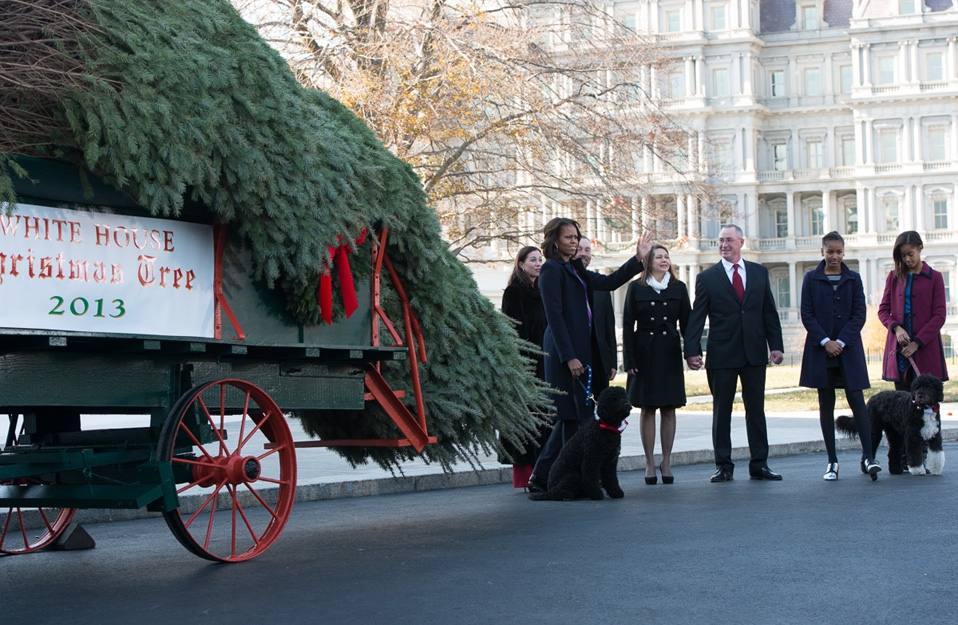 The 2013 Holiday Season the White House Christmas Tree